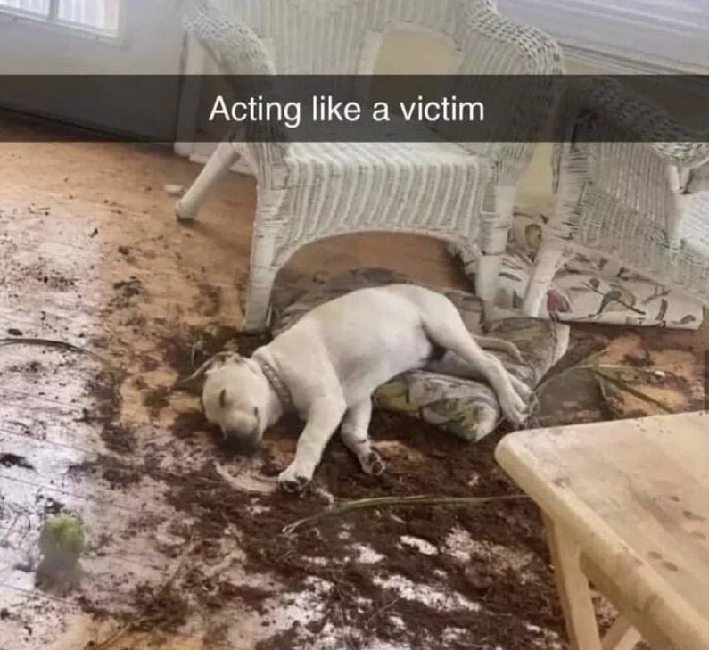 ☆☆☆ tweet media