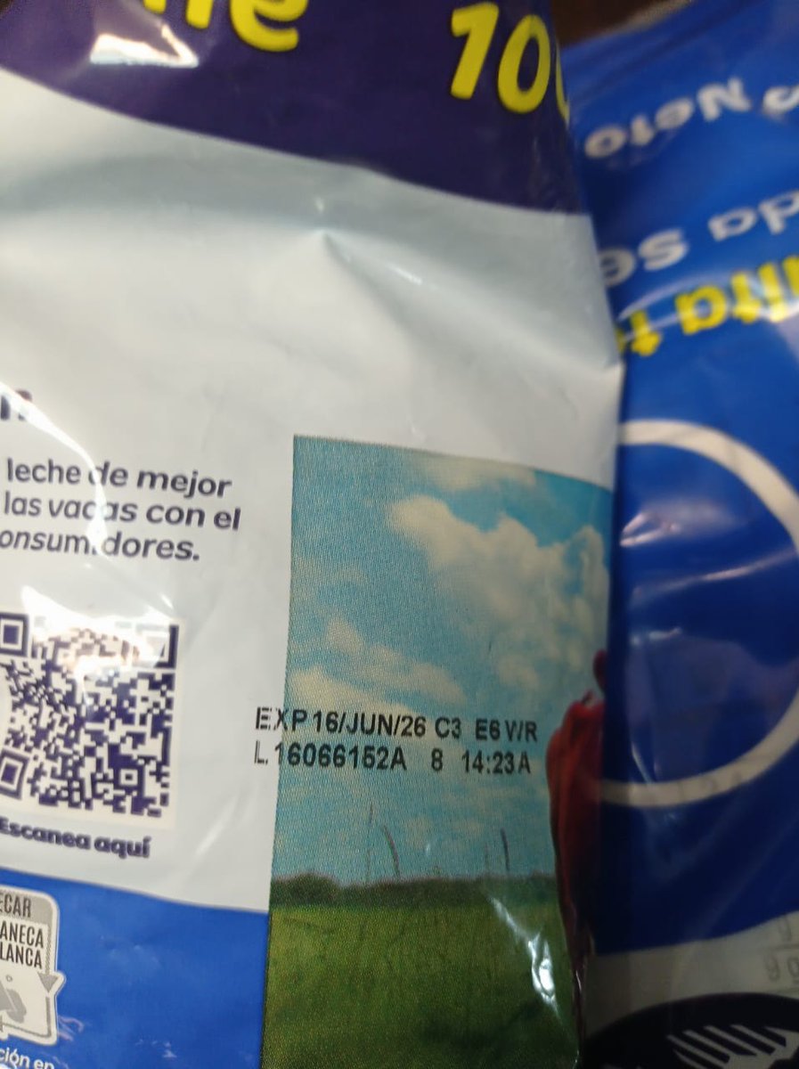 Andrea tweet media