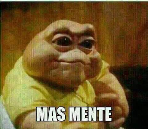 ✟ 🤠 / 🇮🇱 👉🏻 ᯓ ✈︎ ▌▌ tweet media