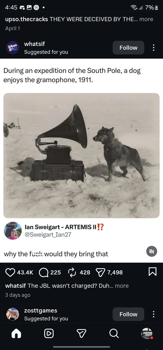 Peekaboo tweet media