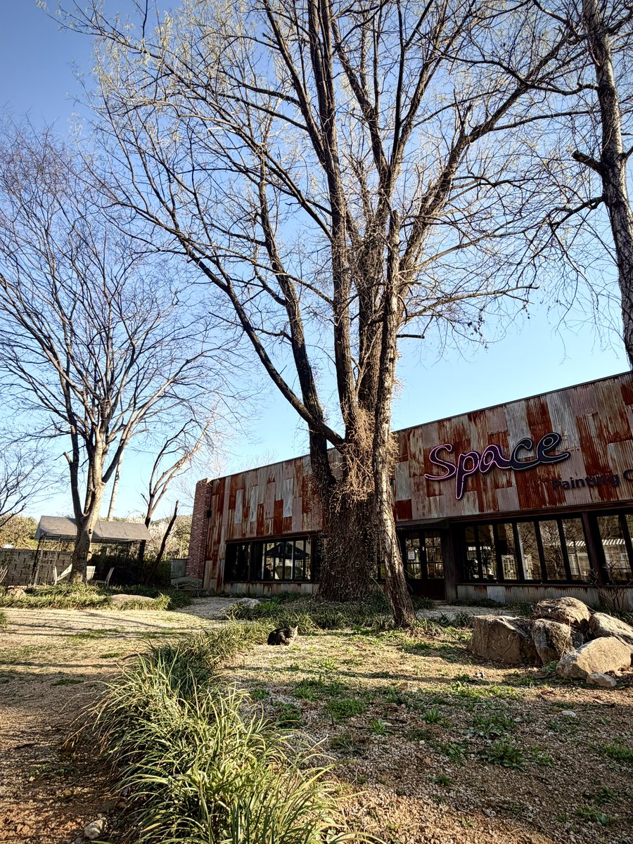 pansy garden🌸 tweet media