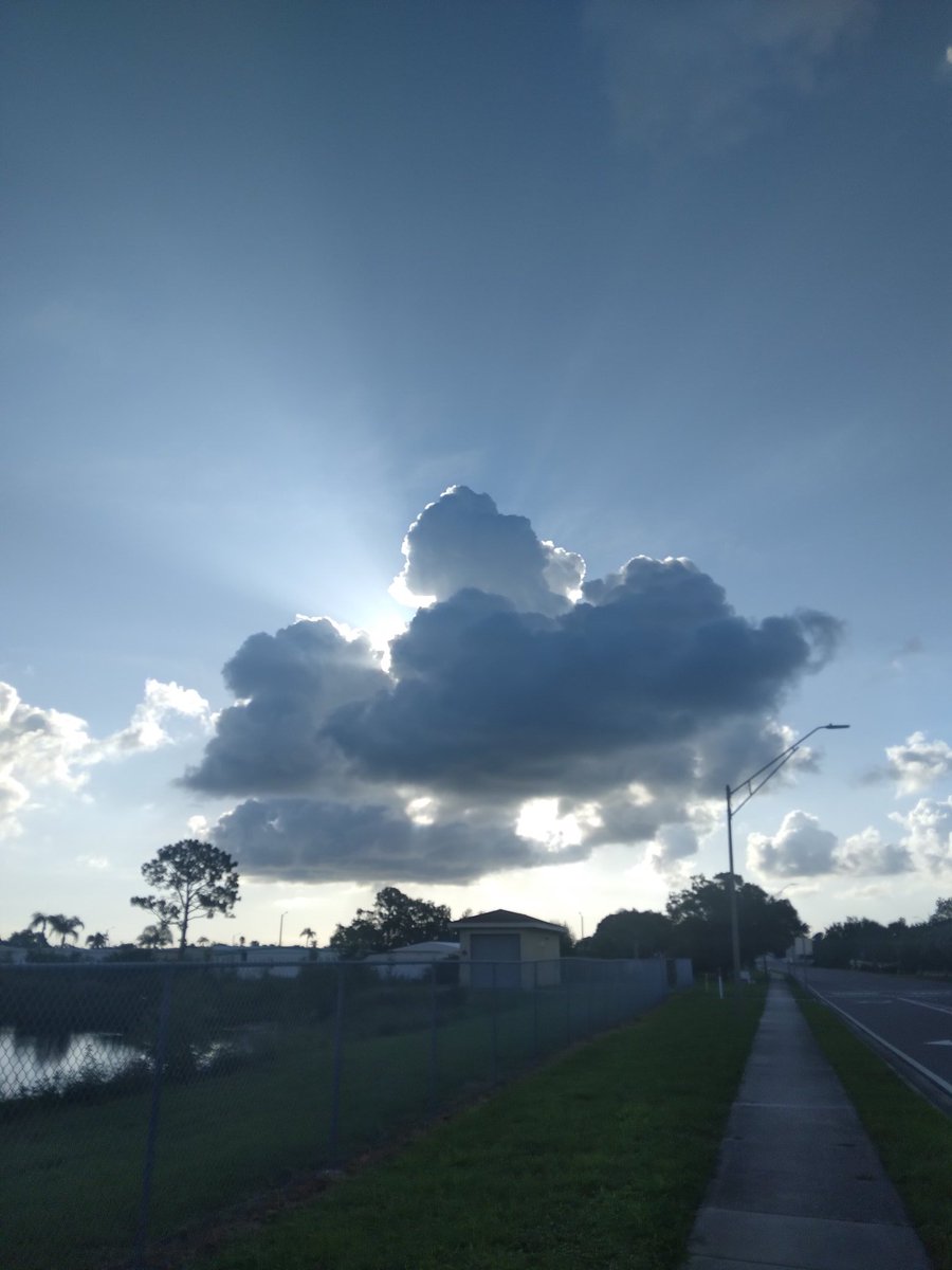 William sullivan tweet media