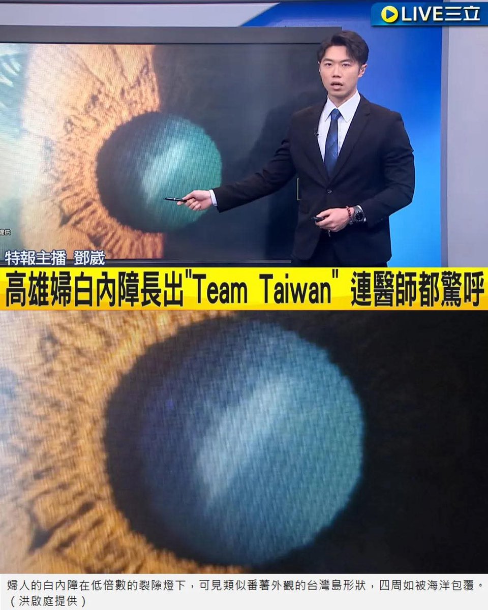 徐芳麗 tweet media