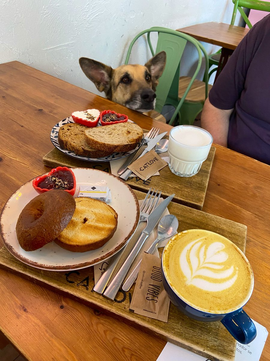 ki-co🇪🇸 tweet media