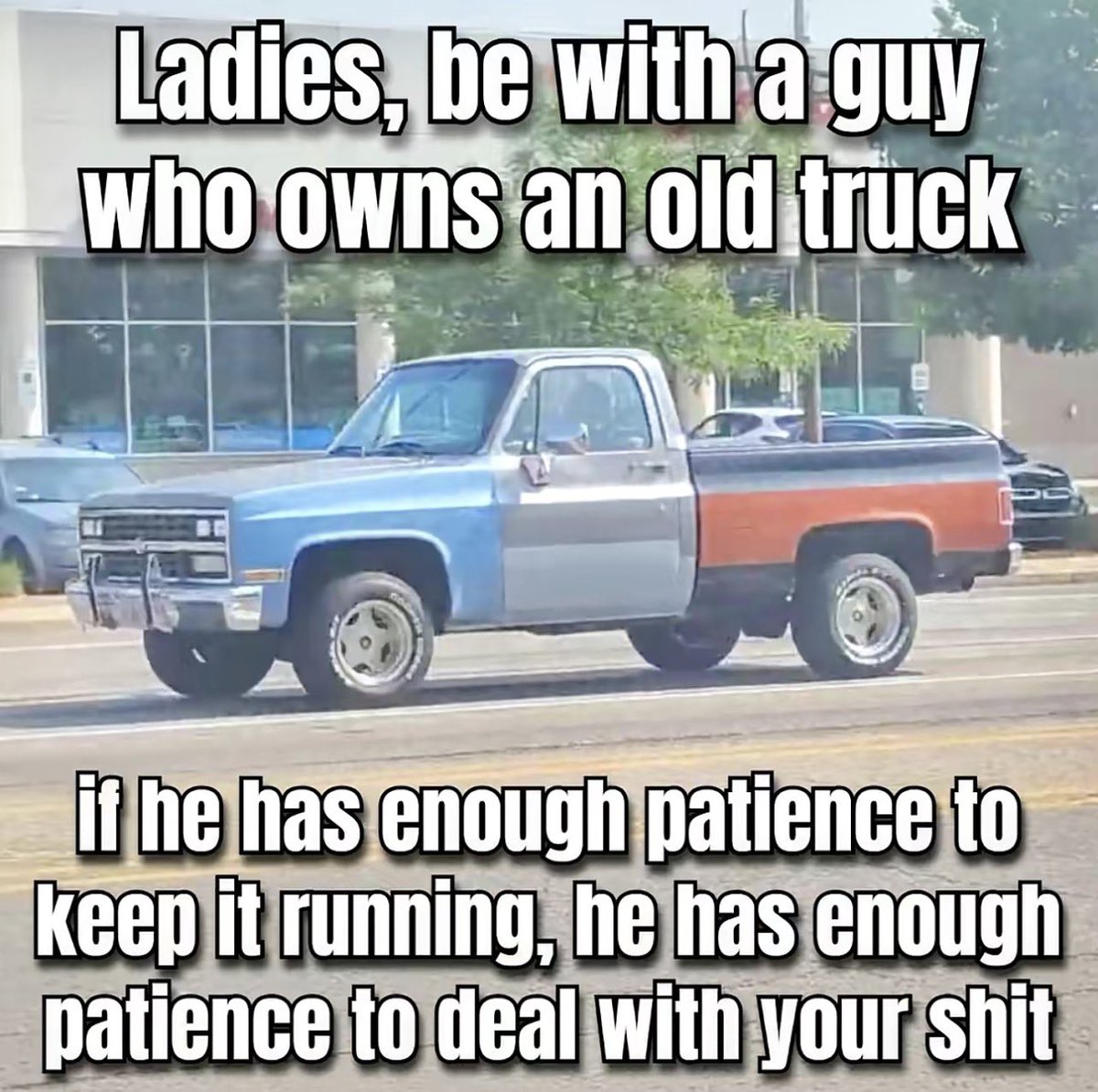 Cruella_Seville tweet media