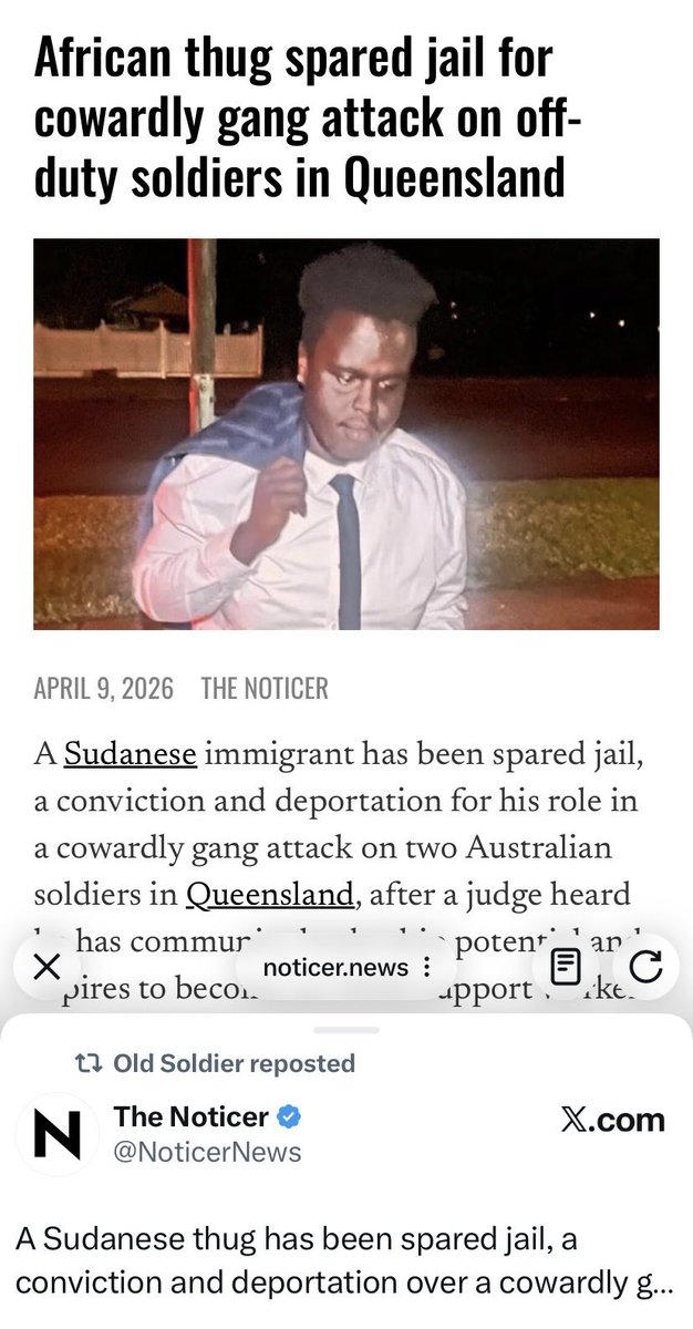 🇦🇺 Ze plane ze plane tweet media