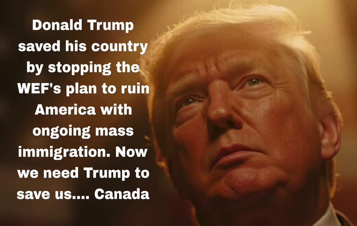 NIGHT WATCHER tweet media