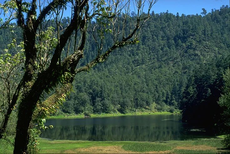 LuisCardenasMX tweet media