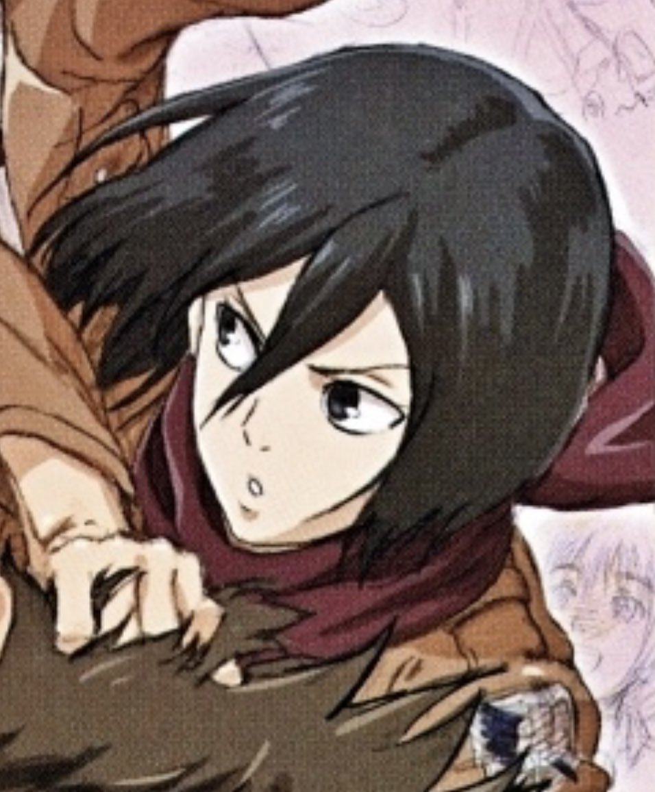 mikasa archive tweet media