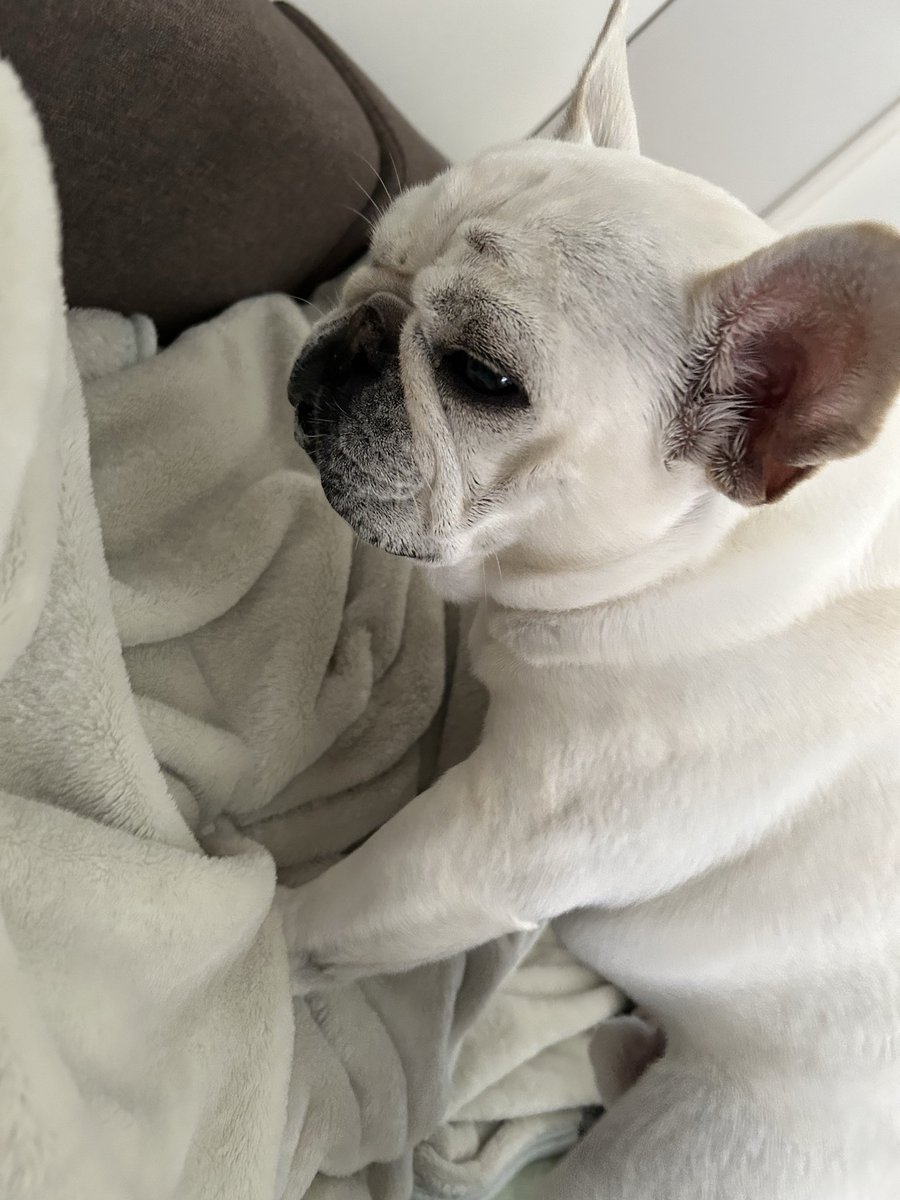 室長と助手 tweet media