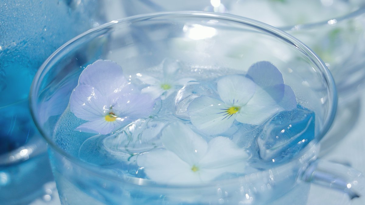 tomei/透明愛好家 tweet media