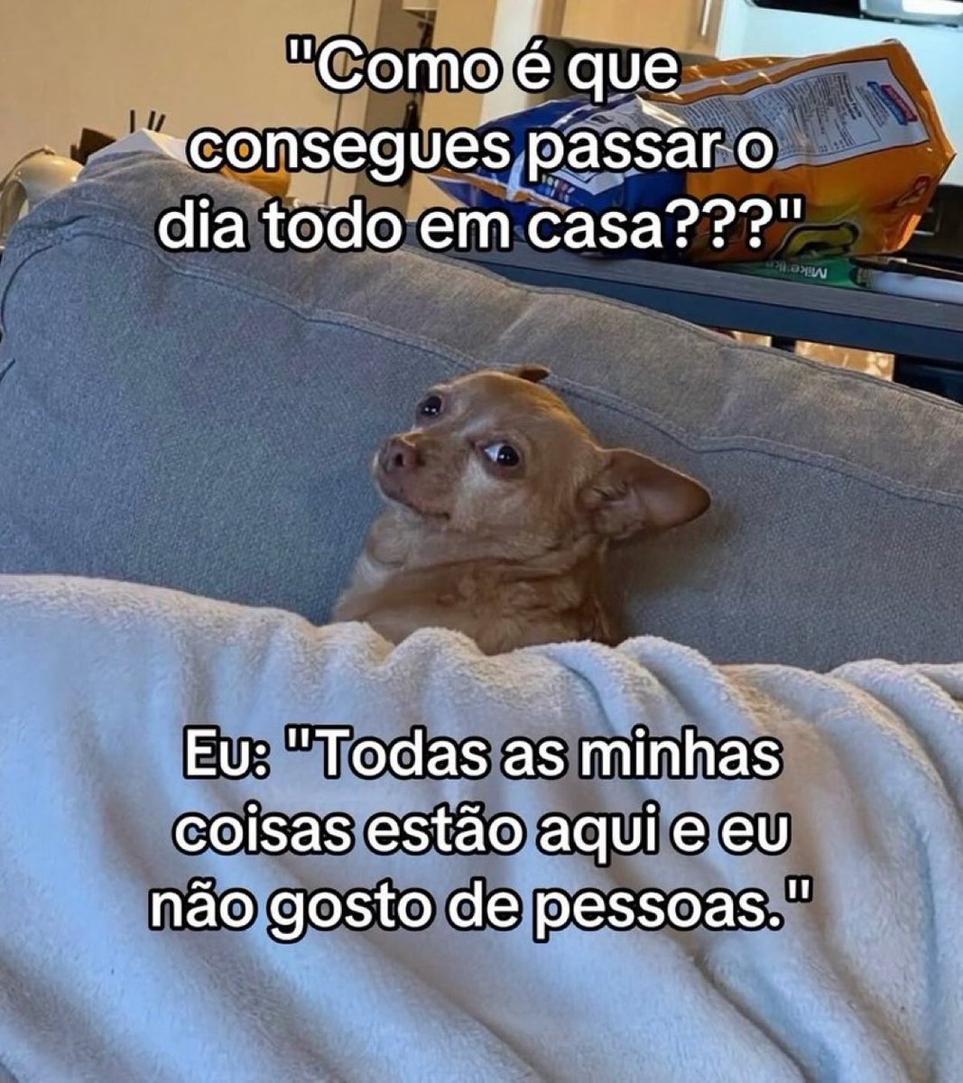 Sembolinha tweet media