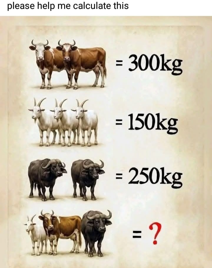 Sienna parker🇸🇭 tweet media