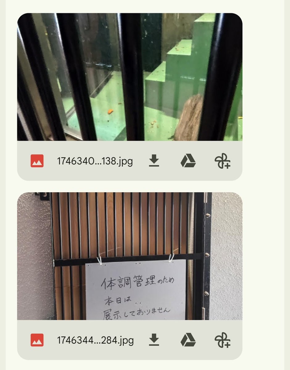 Mandriller M tweet media