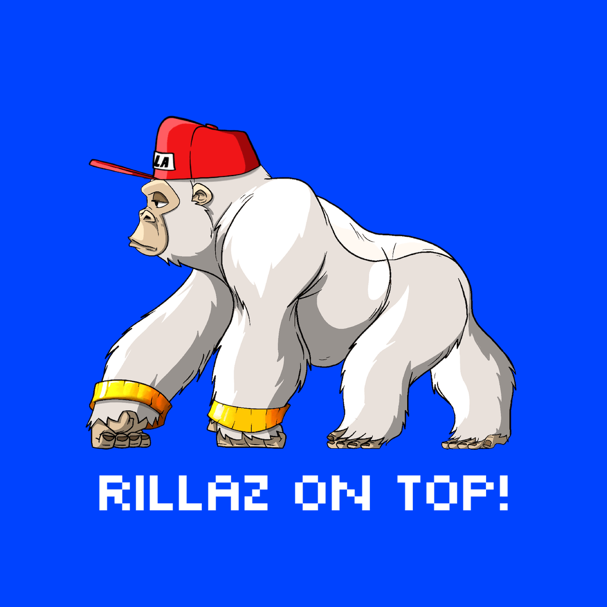 RILLAZ 🦍 tweet media