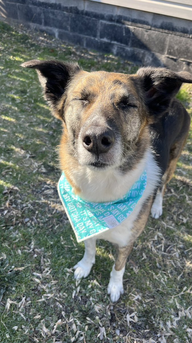 𝘤𝘢𝘳𝘭𝘺 tweet media