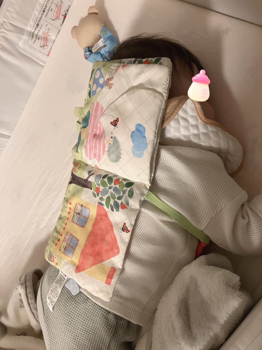 昨日の娘さんこれで寝ようとしててワロタ　どうしてこーなった？