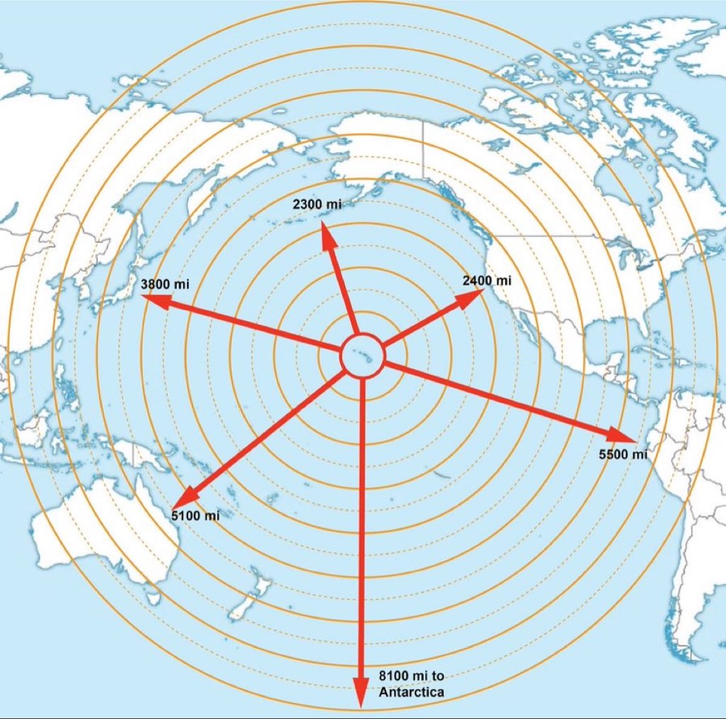Simon Terry-Lloyd tweet media