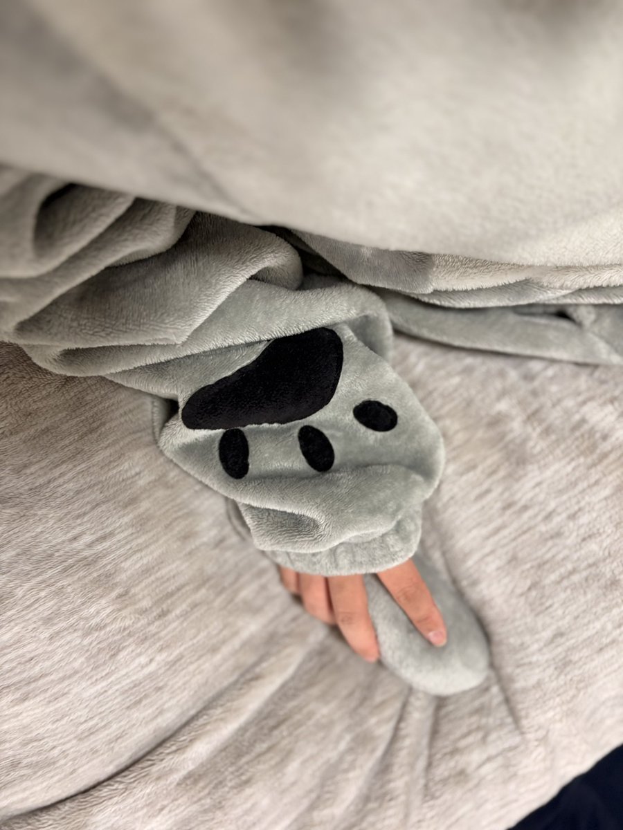 ねむねこ tweet media