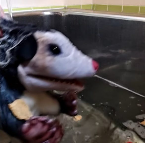 🥉 Pipkin Pippa 🔌🐰 Phase-Connect tweet media