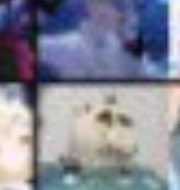 パゼル🍃🎤👑 tweet media