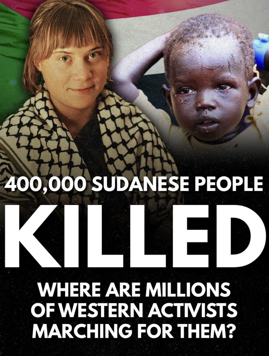 Alfred Spinno tweet media