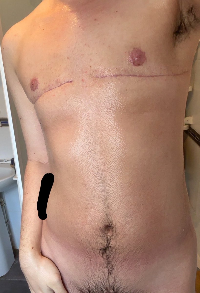 Sharky 🦈🦴 tweet media