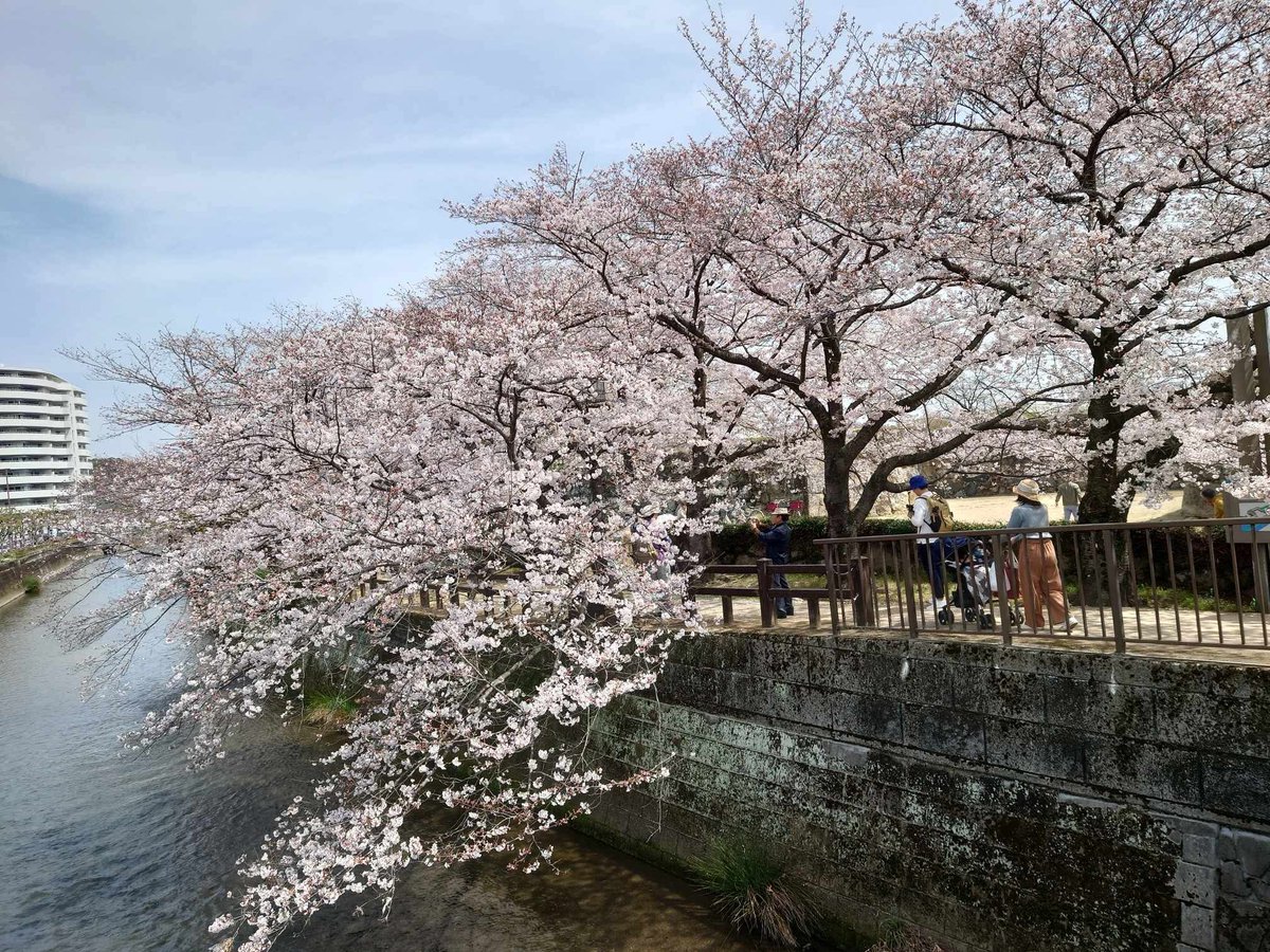 タカハシ tweet media