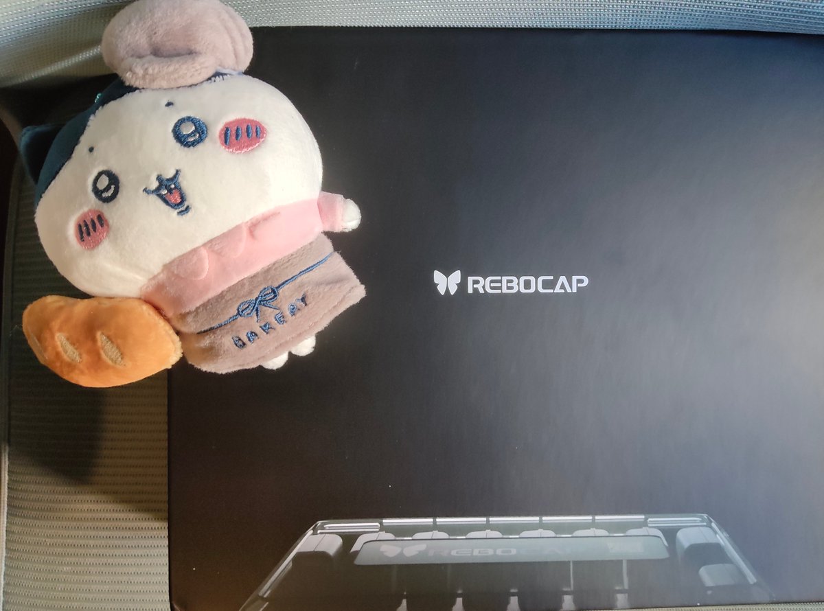 Akamin~🐟💥 tweet media