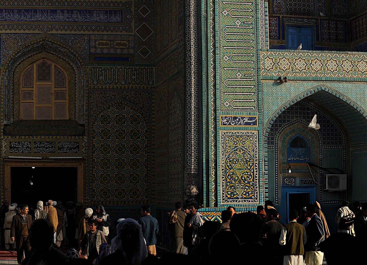 julaibib tweet media