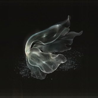 Cinerescent._. tweet media