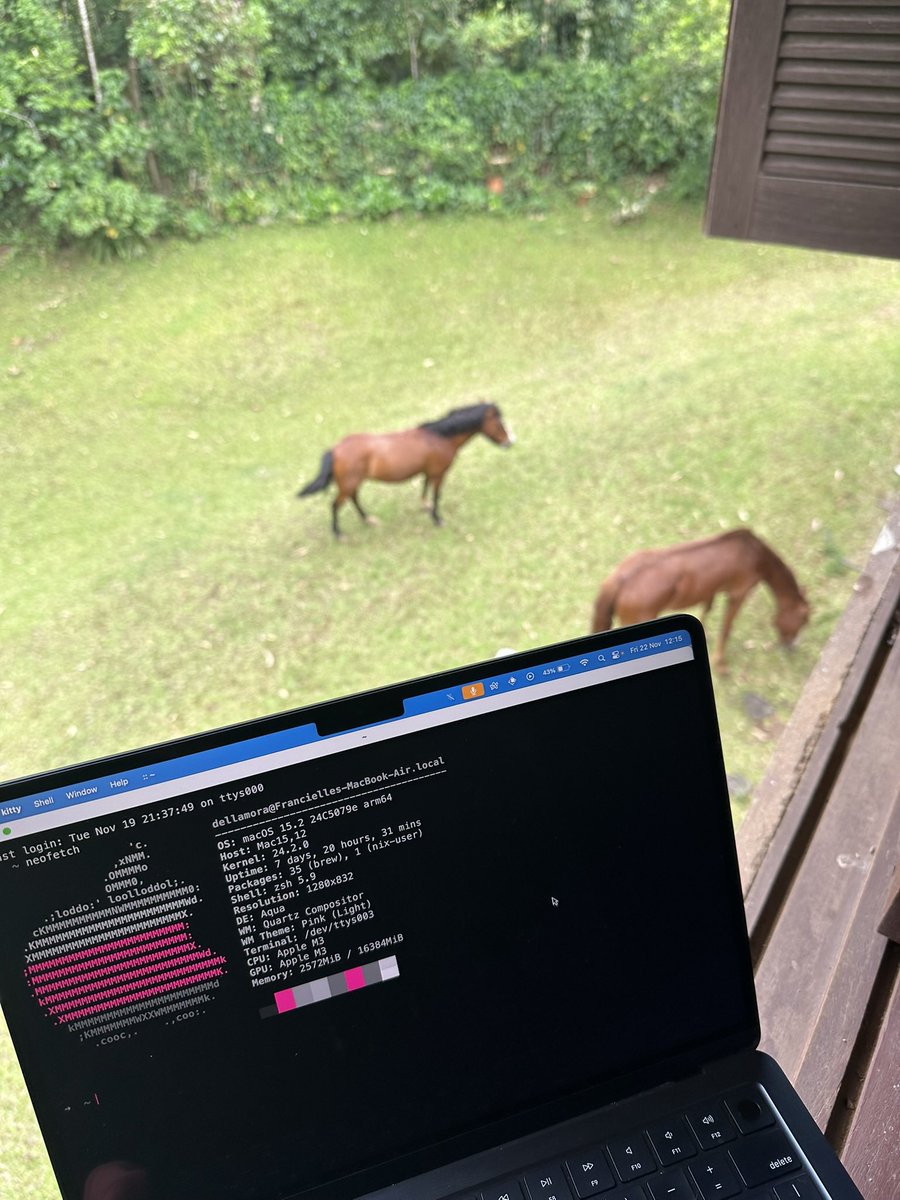 Francielle Dellamora tweet media