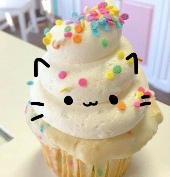 ૮꒰ ྀི◞ ඏ ◟ ྀི꒱ა tweet media