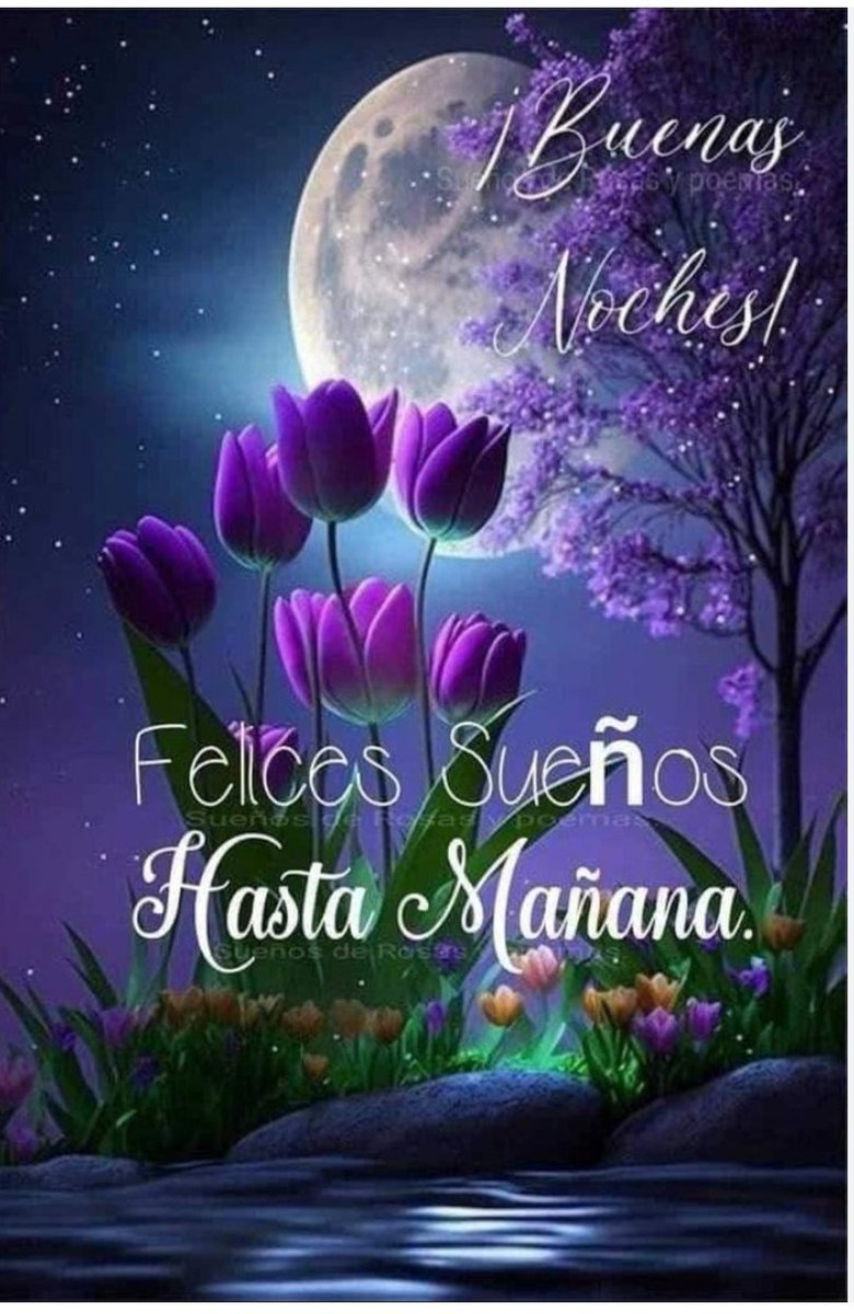 Ernesto Salazar tweet media