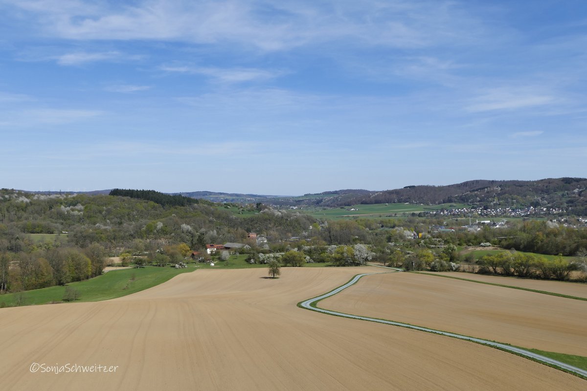 HessenSonja5767's tweet photo. Vom Löhnberger Aussichtsturm hat man einen schönen Ausblick...................... #Aussichtsturm #Turm #Ausflugsziel #Ausflugstipp #Lahntal #Lahn #Löhnberg #LimburgWeilburg #Hessen #Mittelhessen #Germany https://t.co/Nz7rO3Pbgi
