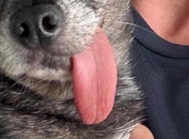 PORTOˢᶜᶦ 🇲🇨 tweet media