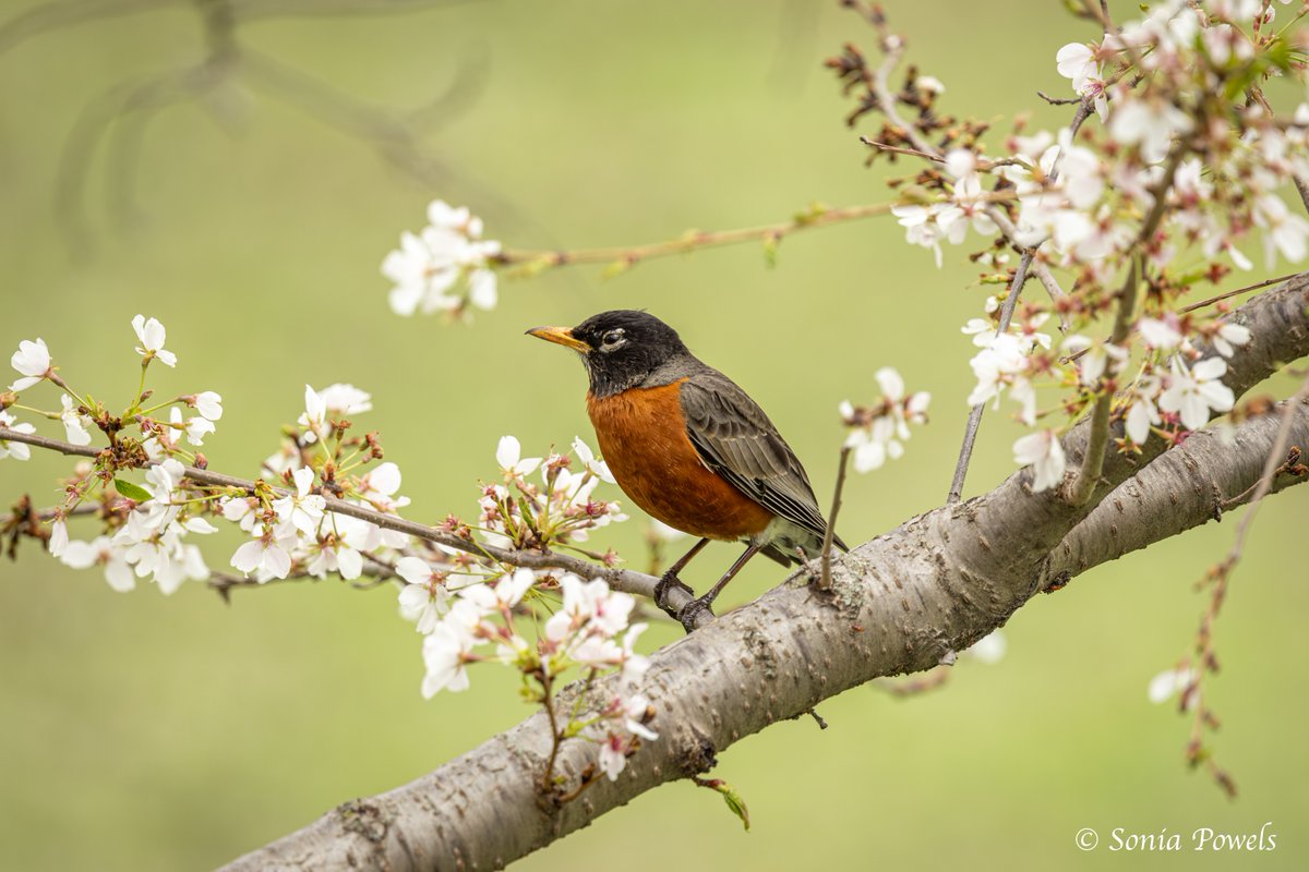 CanonUSA tweet media