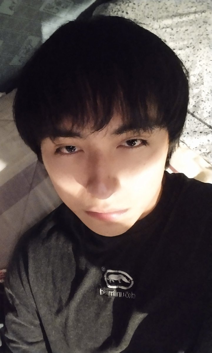 IsaccoVlixes tweet media