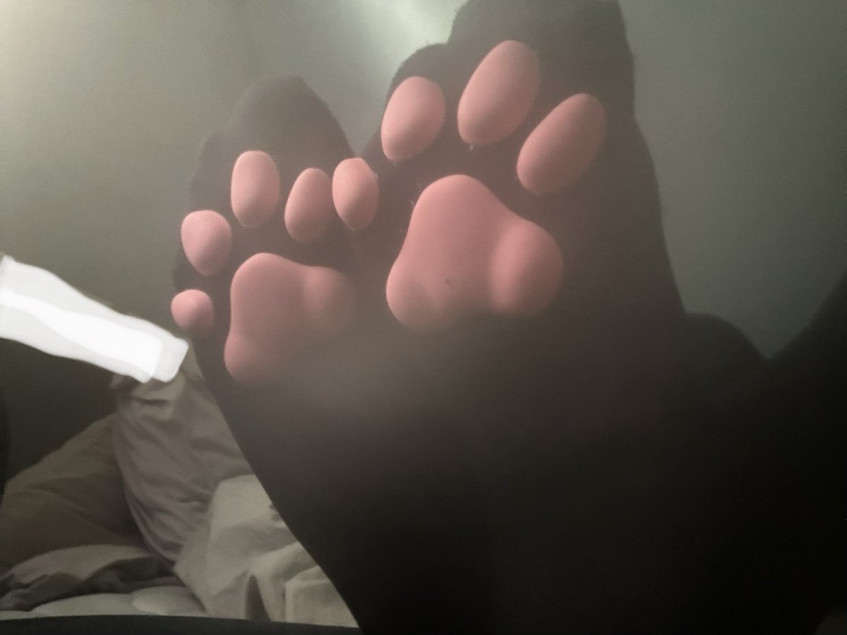 emostolfo's tweet photo. meow i love my cat paw socks 
#nsfw #nsfwtwt #feet https://t.co/qIXqT2SfZo