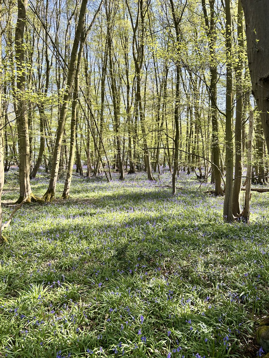 Barry Williams tweet media