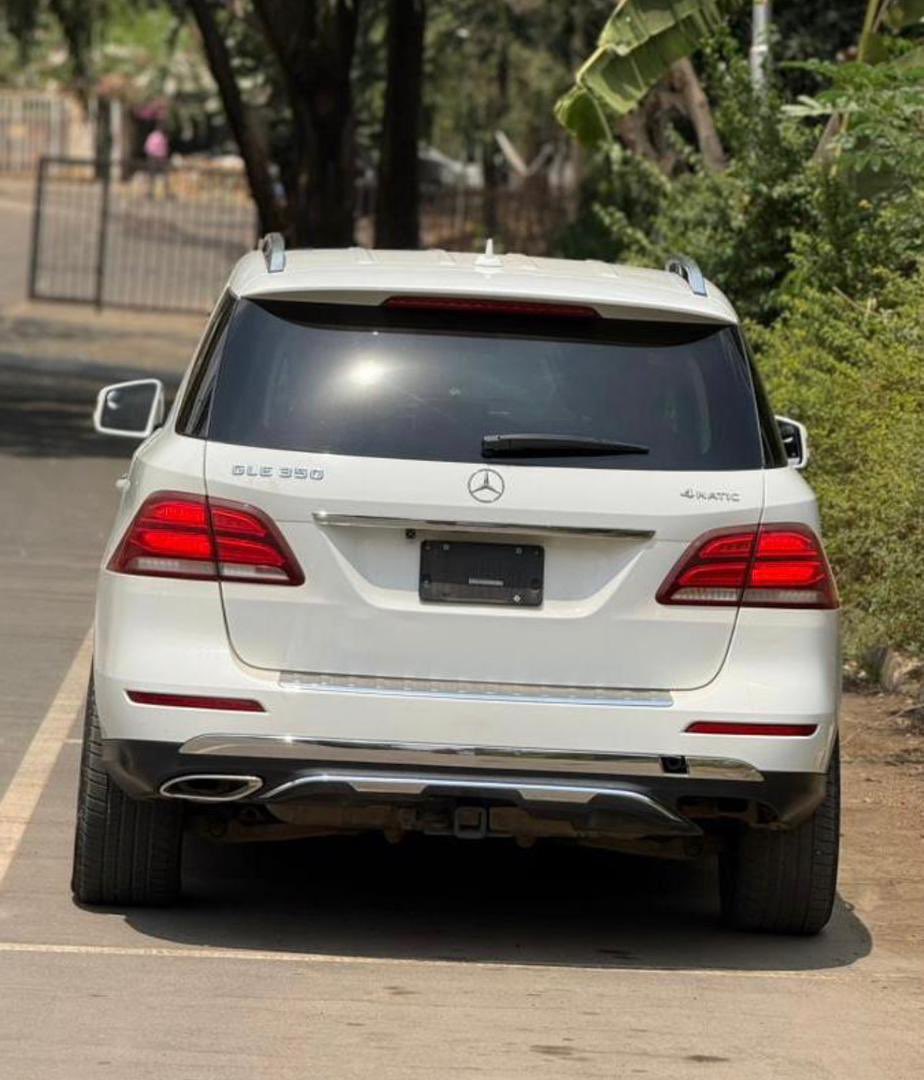 HAYKAYAUTOS tweet media