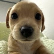 maro 🍂 tweet media