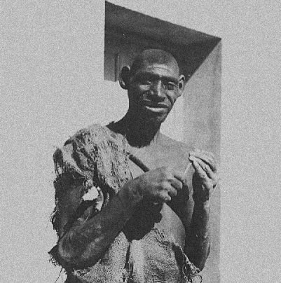 Typical African tweet media