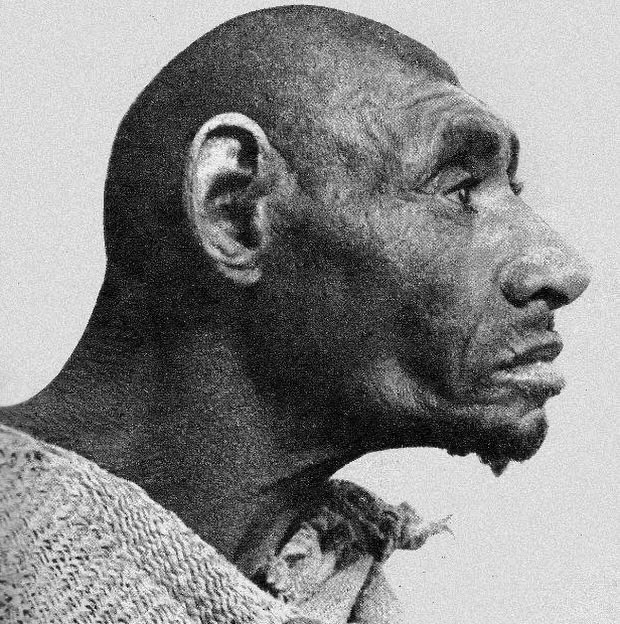 Typical African tweet media