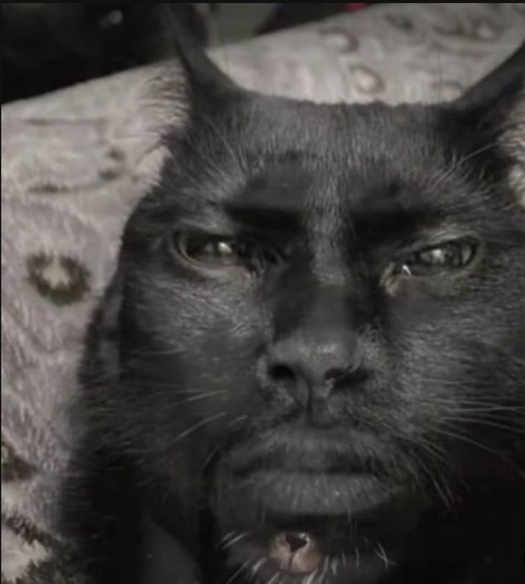 Natsuki❤️‍🔥 tweet media