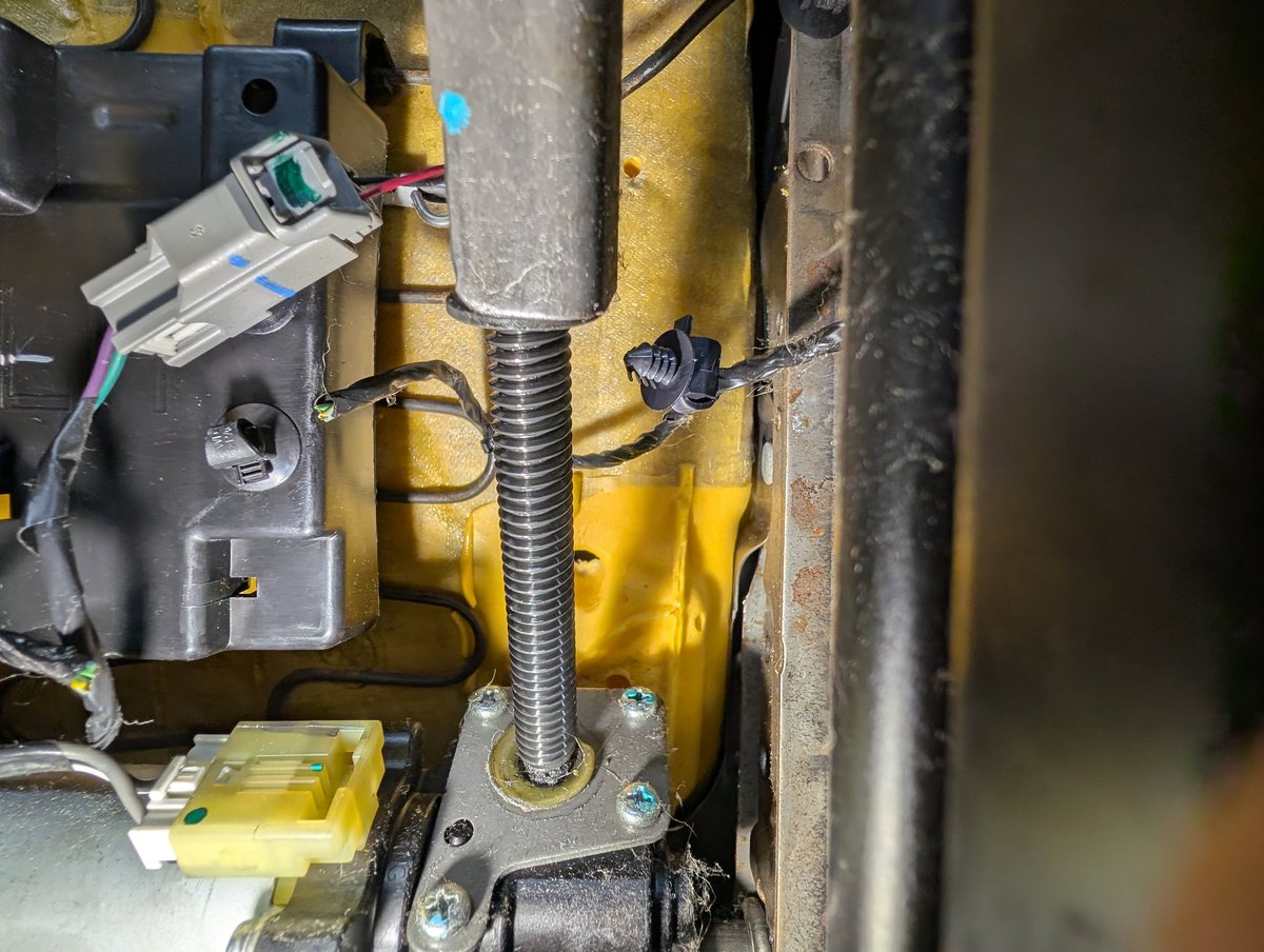 Teeeroy 🦝 🦫 🦦 🦊 🐺 tweet media