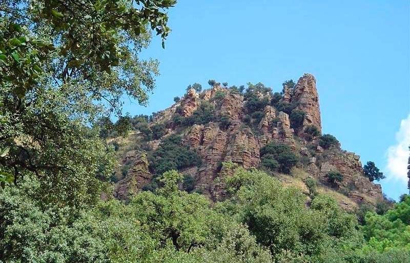 tucomarca.com tweet media