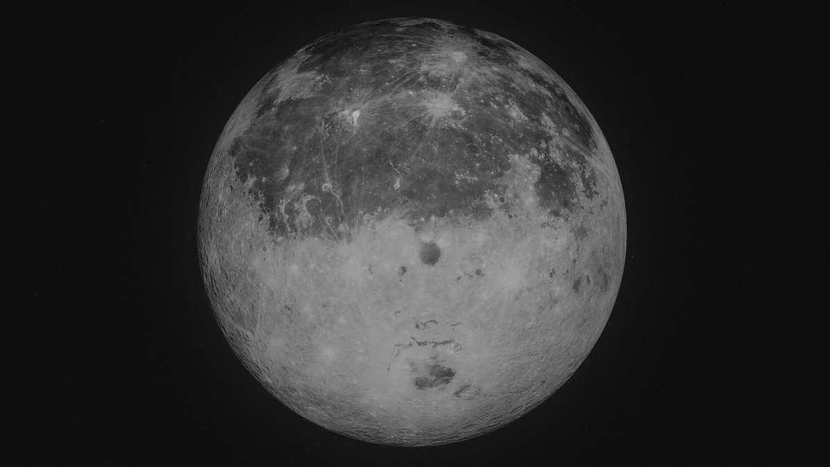 Paolo Mantoan tweet media