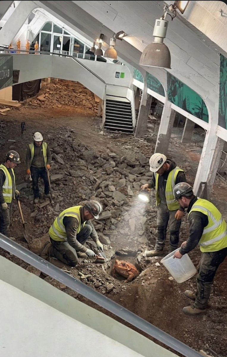 Alcântara 🇳🇬🫶🏻🇧🇷 tweet media