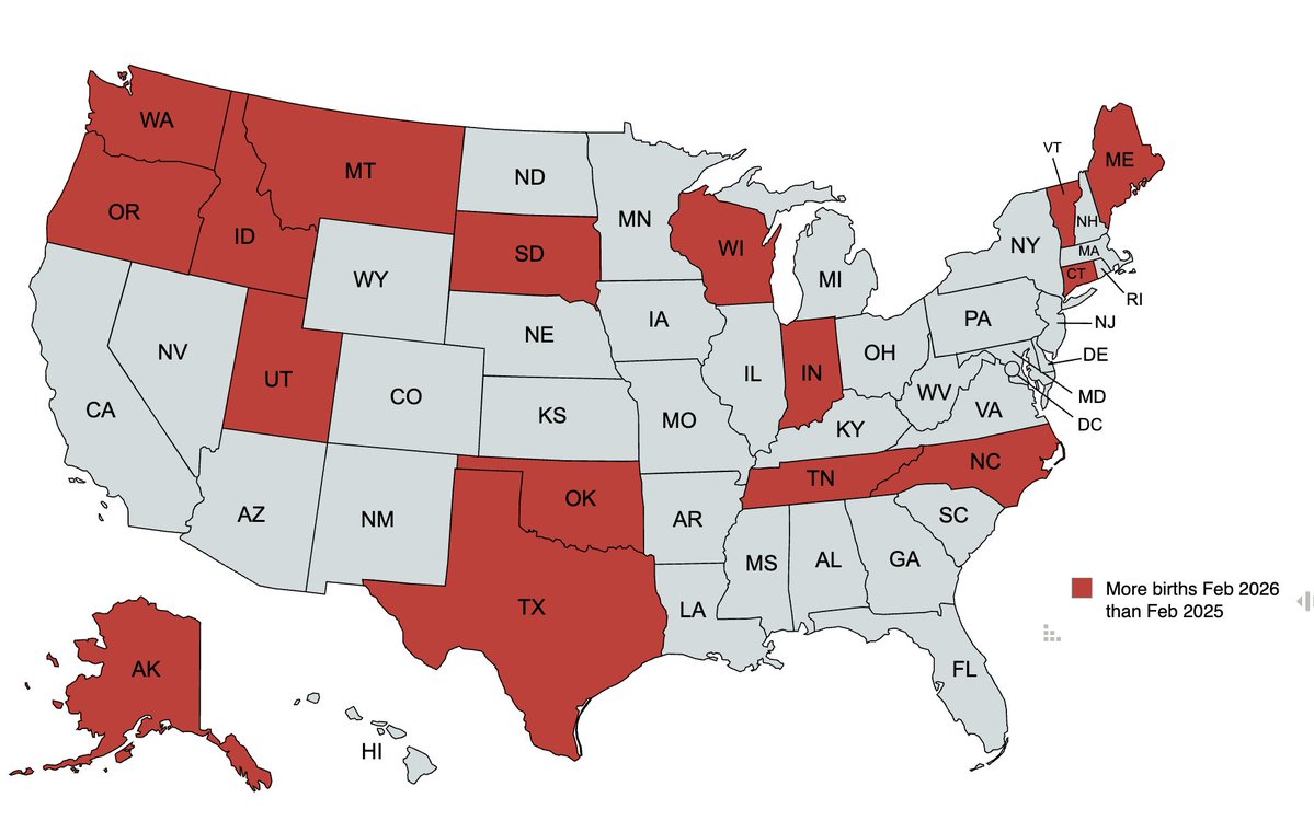 Benny Johnson tweet media